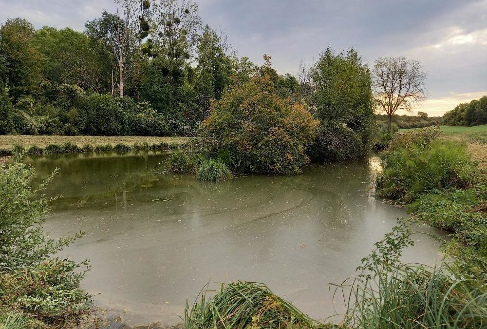 Vente Autre – à Muret-et-crouttes (02210)