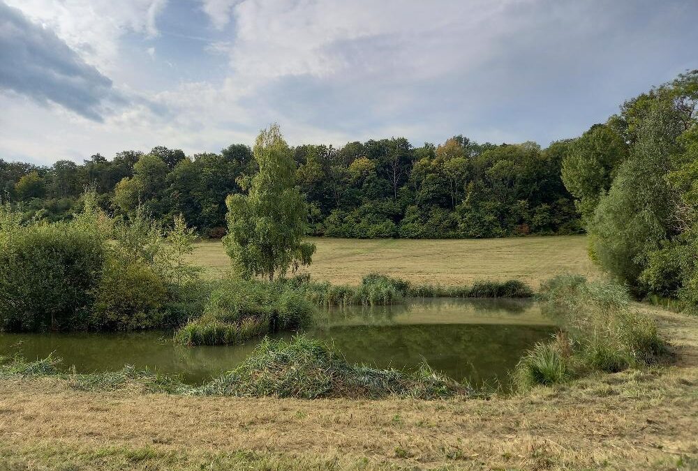 Vente Terrain – à Muret-et-crouttes (02210)